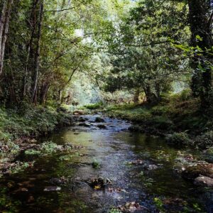 karim-sakhibgareev-fsc2v3jfxvk-unsplash