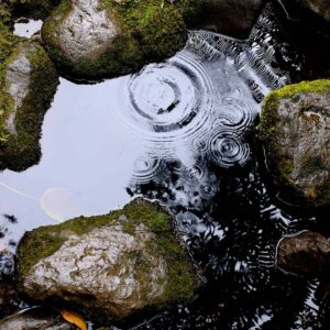 luca-bravo-qCA6EULMskk-unsplash