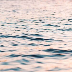 luke-bender-8Dp9jEdQhU0-unsplash