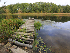 File:Clinches Pond, Moorebank 12.jpg - Wikimedia Commons