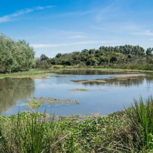 ernesto-velazquez-poojZRvNA5Q-unsplash