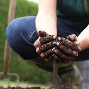 healthy-soil