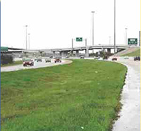 vegetated-filter-strip