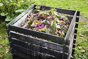 compost