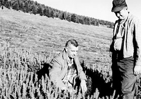 00-00-000 One man kneeling by tree seedlings while another man observes.Photo by Robert Mills