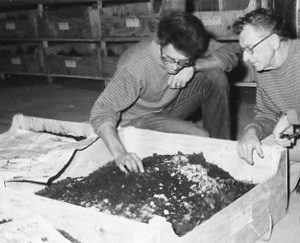 00-00-0000 Boy working on a working on soil model. Photo by Robert Mills