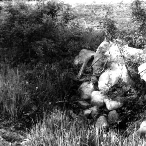 00-00-0000 Dean Swigart checks out road culvert near field drop-off-0001