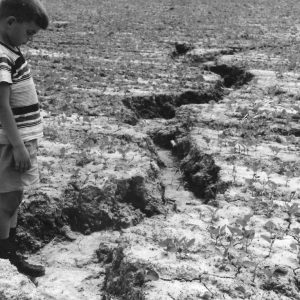 00-00-0000 Field erosion-001-Photo by Robert Mills