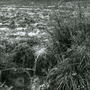 00-00-0000 Field with stubble-website