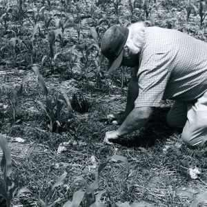 00-00-0000 Man examining ground-website