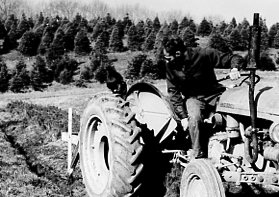 00-00-0000 Man on tractor digging trench for trees on tree farm. Photo by Robert Mills