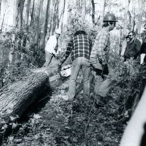 00-00-0000 Men observing another man cutting large log-website