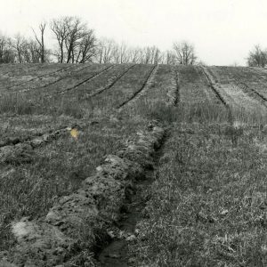 00-00-0000 Plowed furrows for tree planting project-website