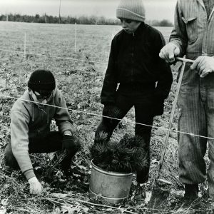 00-00-0000 R.L.C. Beech Grove 4-H Mike Wagner, Geo. Shibbley & advisor Bill Briner completing 1000 White Pine planting-website