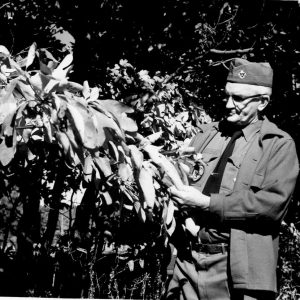 00-00-0000 Scout leader examining some foilage. Photo by Robert Mills