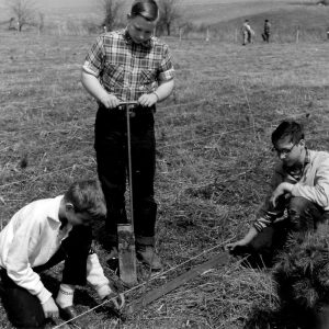 00-00-0000 Three boys planting pine seedlings. Photo by Robert Mills