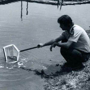 00-00-0000 Tiger Muskis release at Mifflin Res. ODNR-website