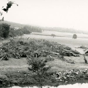 00-00-0000 Truck dumping into a pile of tree rubble #1-website