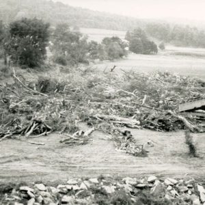 00-00-0000 Truck dumping into a pile of tree rubble #2-website