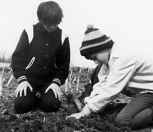 00-00-0000 Two boys kneeling, planting pine seedlings. Photo by Robert Mills