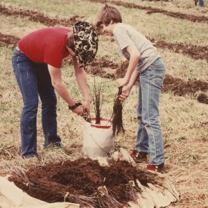 00-00-0000 Two boys putting tree seedlings in pail-0001