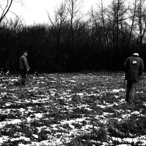 00-00-1967 Shelby football coach Bill Wilkins and a friend with matched pair of beagles on a rabbit hunt-website