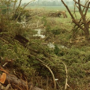 00-00-1990 Tornado. Cedar Fork.W.Bellville#6-Website