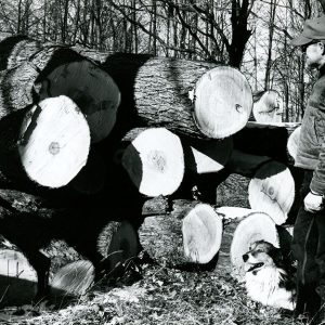 01-12-1967 Jack Gatton with logs harvested at his farm. (Dog is Brick)-website