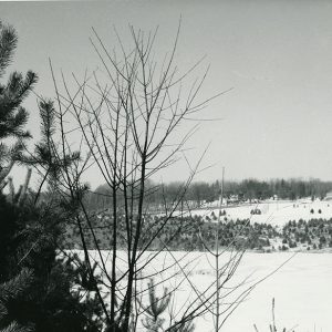 02-25-1964 John Hattery Farm Wildlife Area-website