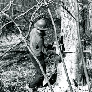 03-06-1973 Levi Mast, timber cutter, is shown as he harvests a mature tree at the Ed Arnold Woods-website