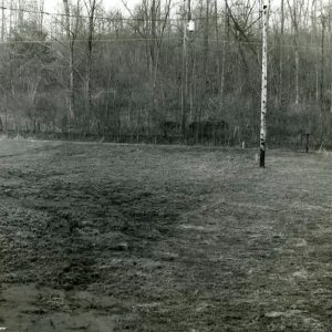 03-14-1979 Unseeded lawn rill erosion & sedimentation. Lawn seeded & mulched Sept 78-website