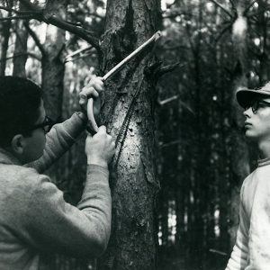 03-22-1966 Dick Janis & Larry Brightfield prunning red pine at Cye Reeder Lumber Company Farm-Butler-website