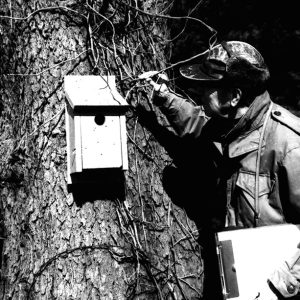 03-24-1-76 Eldon Heck at his Shelby farm examines bluebird nest house installed by the local Garden Club-website