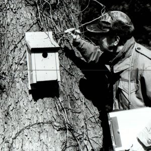 03-24-1976 Eldon Heck of Shelby examines bluebird house installed at the Heck farm by the local Garden Club-0001