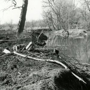 03-87 Cleared & snagged Blackfork River looking North towards London E. Road, Ferguson farm-website