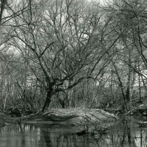 03-87 Meandering Blackfork and large sediment bar on Harry Ferguson-website