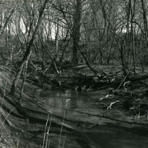 03-87 Oxbow cut off by small logjam causing stream to meander. Prior to clearing-snagging, Ferguson farm-website