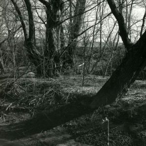 03-87 Sediment bar caused by meandering Blackfork River-website