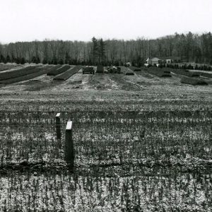 04-00-0000 Seedlings being picked up for RSWCD. Pa.-website