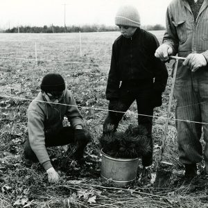 04-04-1970 Beech Grove 4-H Club at the R.L.C. Mike Wagner,Geo Shibbley & advisor Bill Briner as they plant 800 White Pine-website