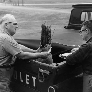 04-06-1967 Lawrence Schmahl ,Lucas, Deming Seymour-ODF- tree pick-up-website