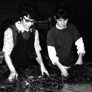 04-08-1966 Janet McGrew & Diane Lehnhart assemble shrubs for wildlife packets at RLC (photo R. Mills)-website