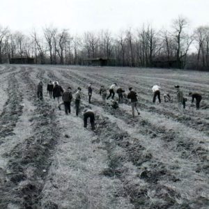 04-08-1967 Tree Planting #2-website