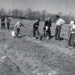 04-08-1967 Tree Planting #6-0001