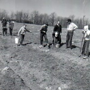 04-08-1967 Tree Planting #6-website