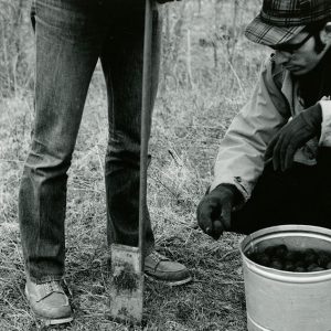 04-09-1972 David & Thomas Mills shown as they use a planting bar to plant walnuts on the Thoburn Britton Farm in Noble Co.-website