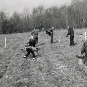 04-10-1965 Tree Planting #3-0001