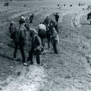 04-16-1966 Tree planting at Boy Scout forestry Day at Camp Avery Hand. 5,000 trees in 2 & one half hours-website