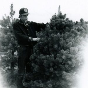 04-16-1975 Jeff Van Loon. Pine Grove Nursery PA. Pickup seedlings-website