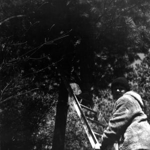 04-24-1971 Troop 121-Timber Stand Improvement-Camp Avery Hand #1-Website